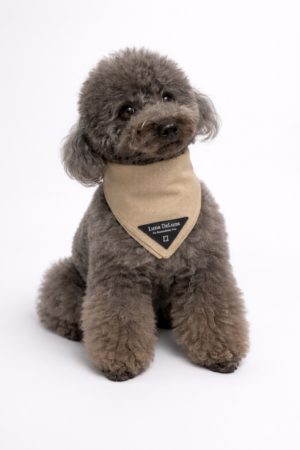 bandana the baron 6