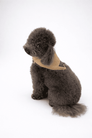 bandana the baron 7
